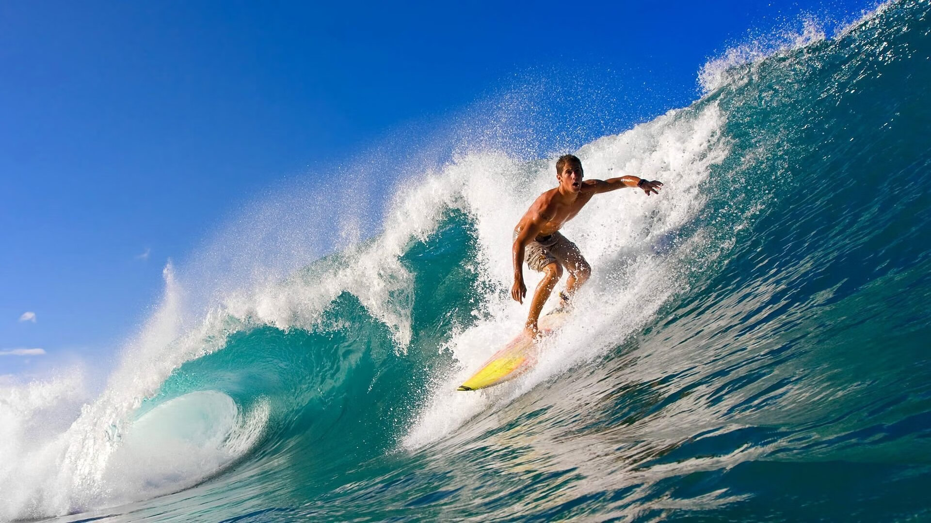 体育高校科研成果助力国家队备战，高校体育产业